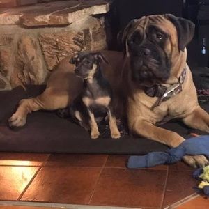 Meet your Posher, Jeremy n lisa